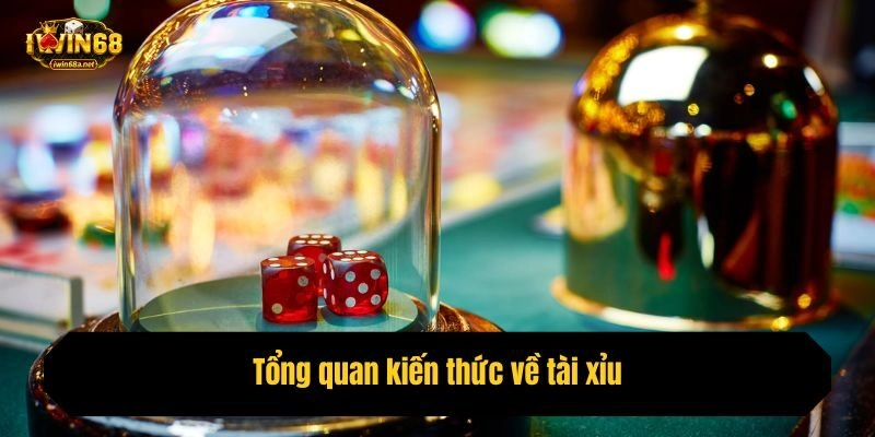 Tổng quan kiến thức về tài xỉu