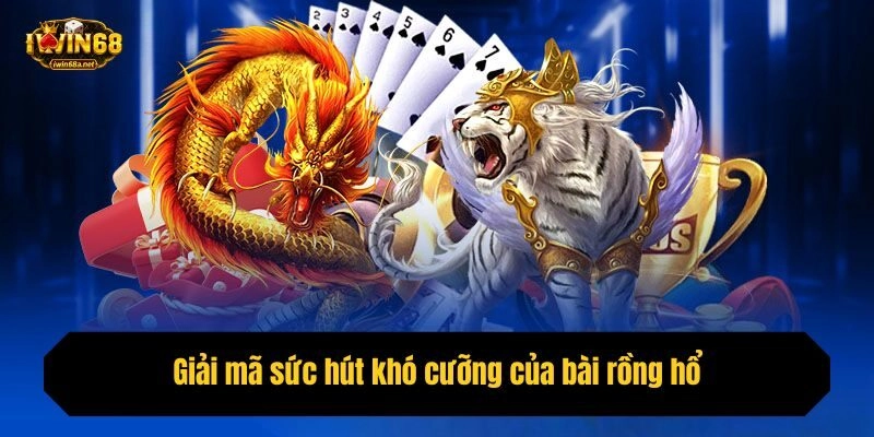 Giải mã sức hút khó cưỡng của bài rồng hổ