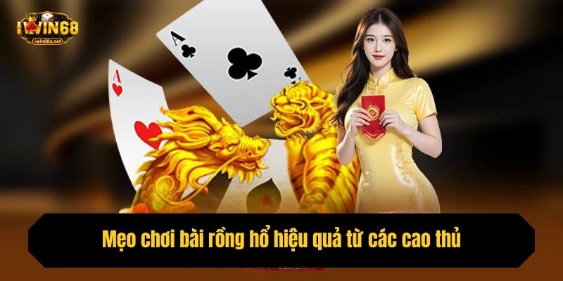 Mẹo chơi bài rồng hổ hiệu quả từ các cao thủ